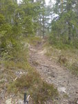 DSC00985.JPG