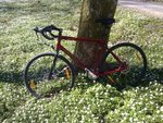 cykel.jpg