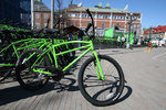 100cyklar.jpg