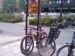IMAG0110.jpg