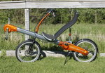 flevoleft(1).jpg