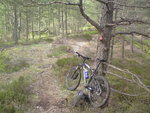 DSC00346.JPG