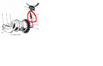 vxnav.gif