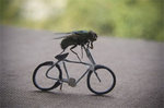 flybike.jpg