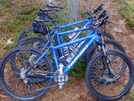 DSC00441_webb.jpg