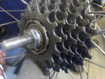 DSC02015.JPG