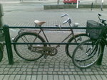 20090403.jpg