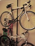 DSC01653.jpg