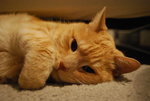 DSC_0097.JPG
