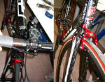 focus izlaco team 3 copy.jpg