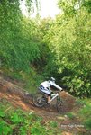 _DSC0787 kopiera.jpg