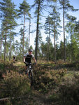 Bild 005.jpg
