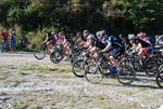 DSC_0021small.jpg