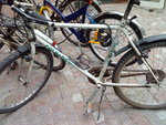 Rostig Colnago MTB.JPG
