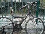 DSC00051.JPG