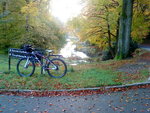 DSC00005.JPG