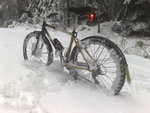 20081206055.jpg