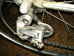 DSC00269.JPG