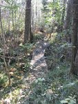 IMG_6143.JPG