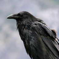 Hrafn