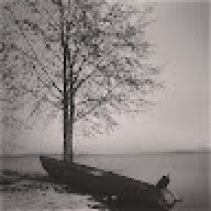Vidlund