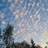 MTB- rensning