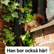 Kombaja