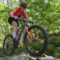 Feliciahenttonen
