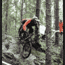 lasse_magnusson