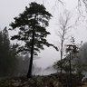 Borka_