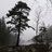 Borka_