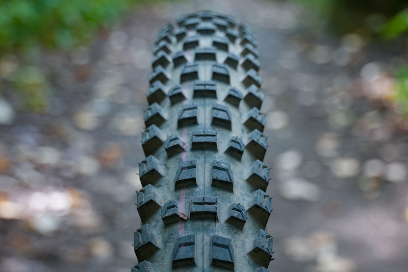 www.pinkbike.com