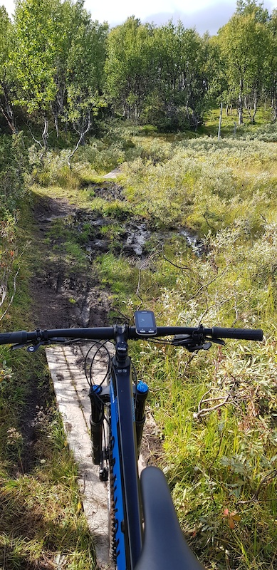 www.trailforks.com