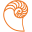 calfeedesign.com