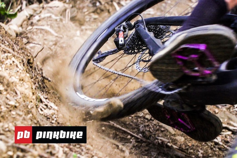 www.pinkbike.com