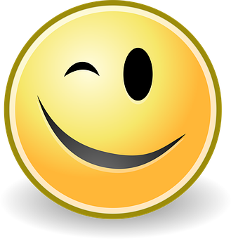 wink-98461__340.png