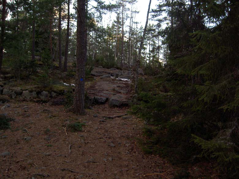 050405I.JPG