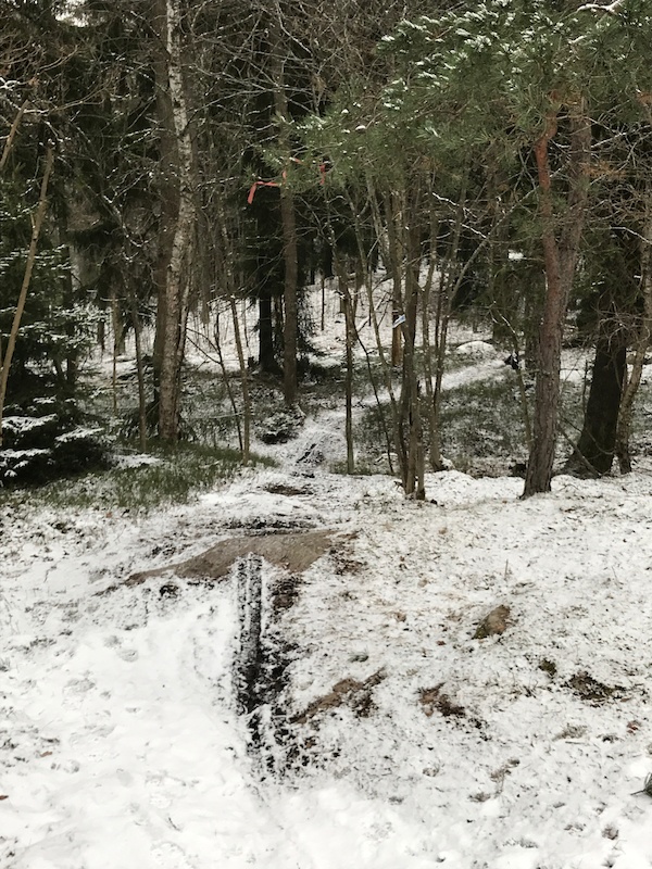 www.trailforks.com