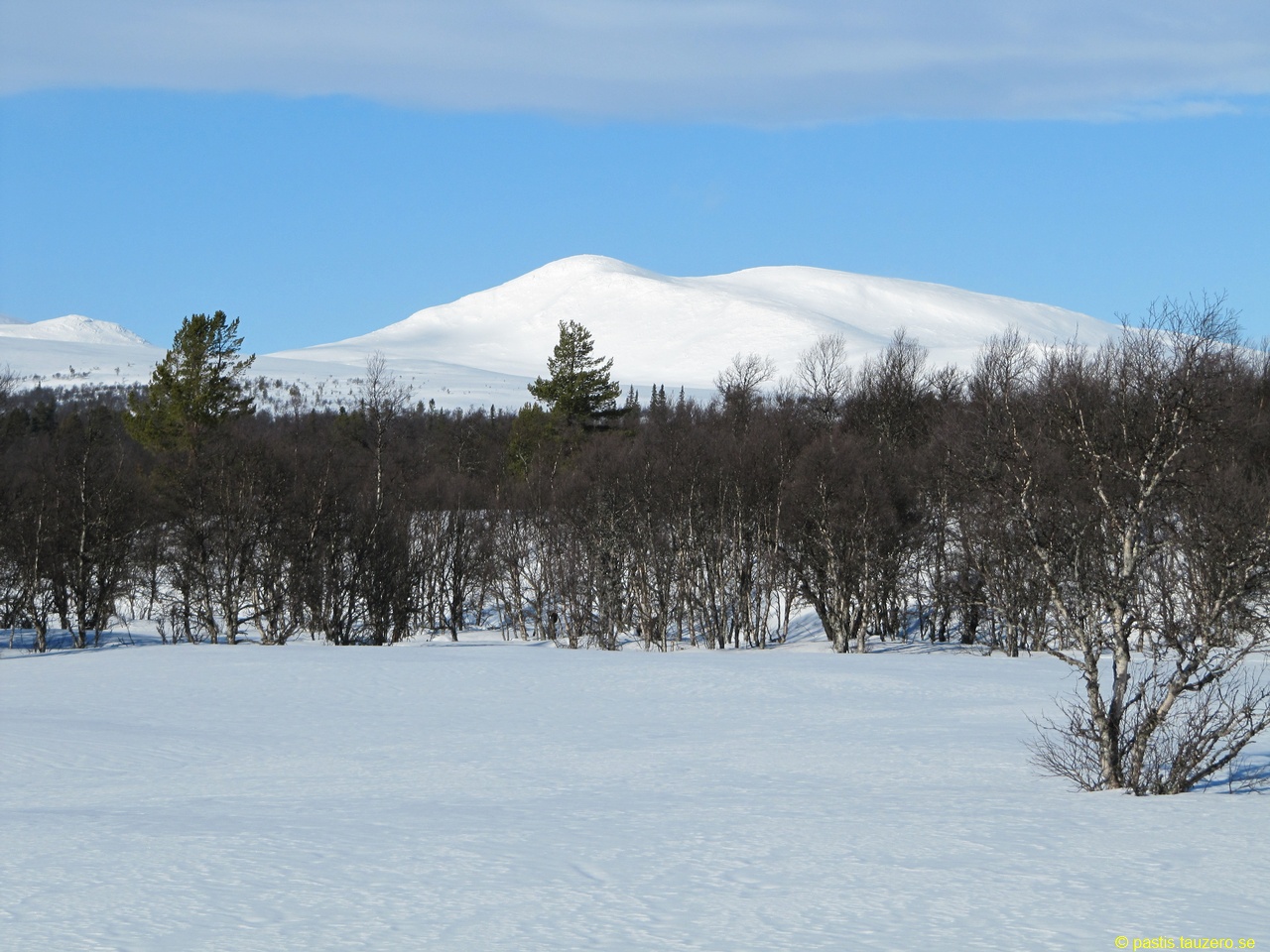 20140310b-006.jpg