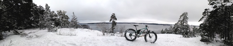 www.trailforks.com
