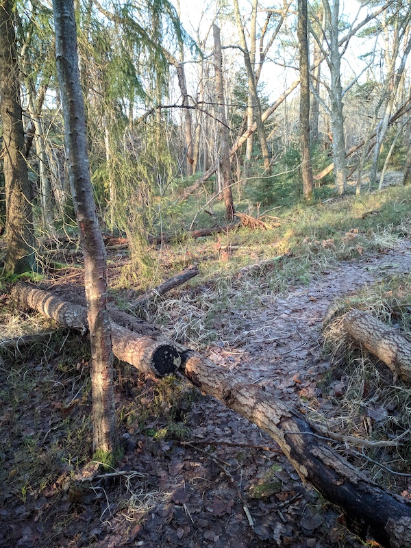 www.trailforks.com