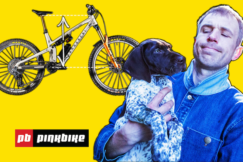 www.pinkbike.com