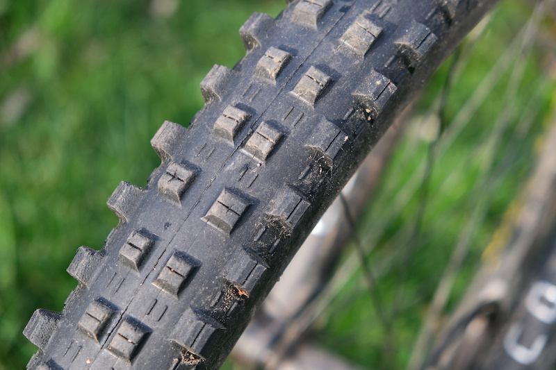 www.pinkbike.com