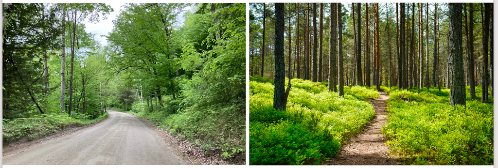 gravel_and_trail_1024x1024.png