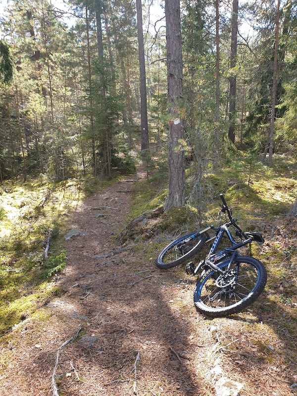 www.trailforks.com