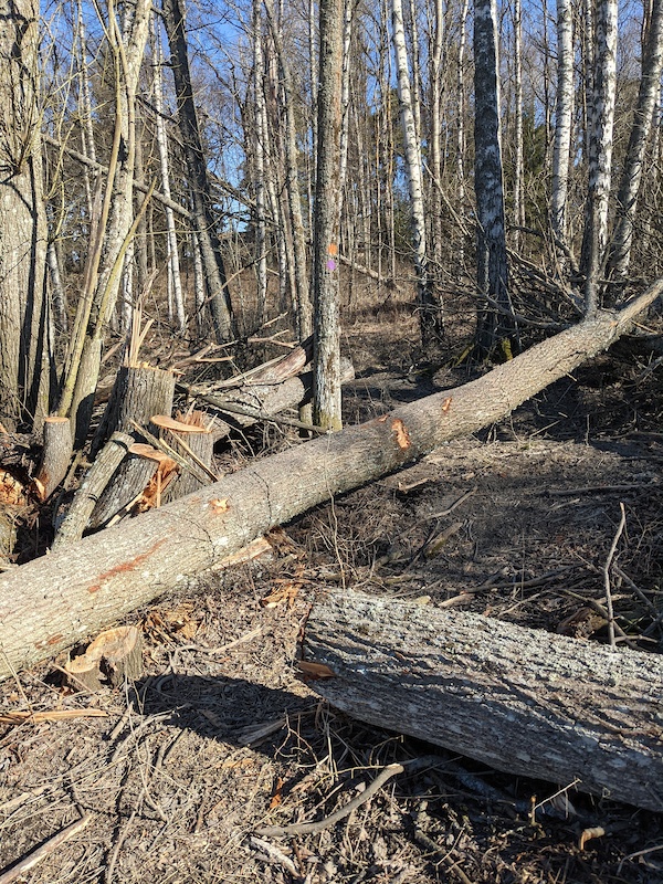 www.trailforks.com
