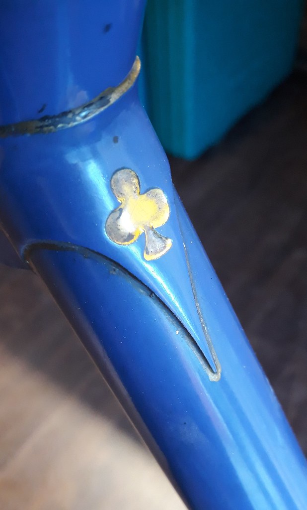 42251796170_517f43002d_b.jpg