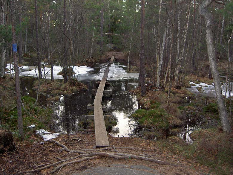 050405E.JPG