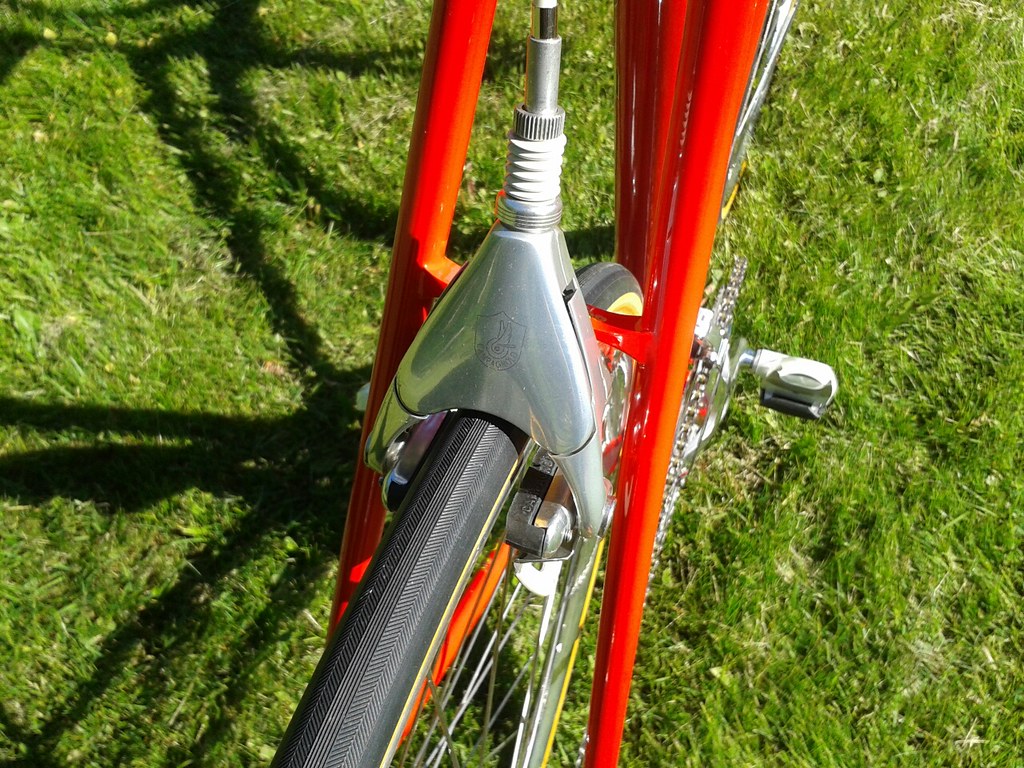 34298021364_43715ef317_b.jpg