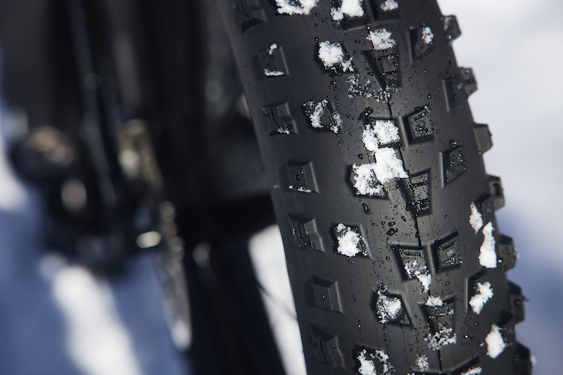 www.pinkbike.com